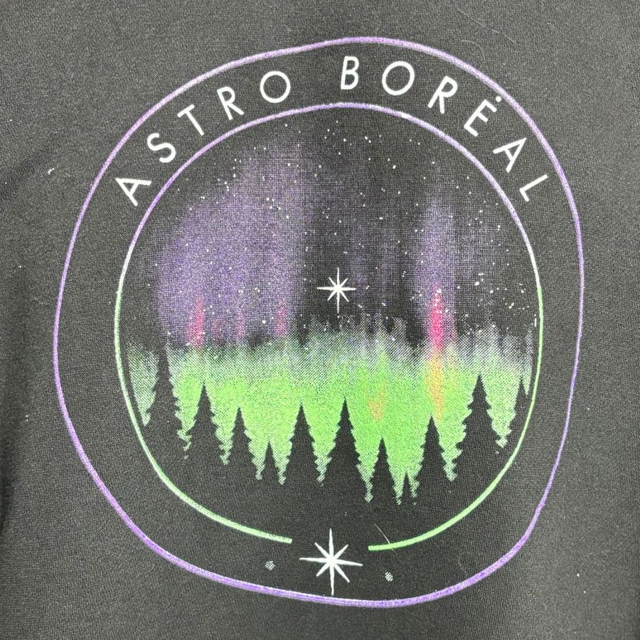 Astro Boreal hoodie in normal light